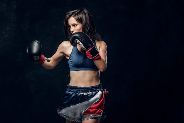 Retrato de una boxeadora bastante profesional — Foto de Stock