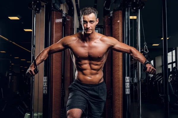 Muscular hombre está haciendo ejercicios con aparato de entrenamiento — Foto de Stock