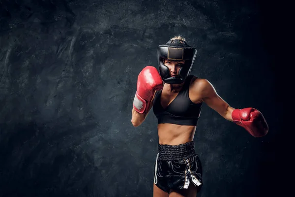 Portrét milého ženského boxera v tmavém fotostudiu — Stock fotografie