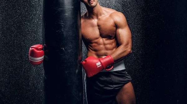 Powerful male is posing with punching bag