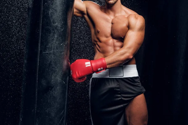Caldo muscolare uomo con nudo busto e sacco da boxe — Foto Stock