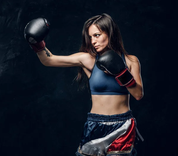 Retrato de una boxeadora bastante profesional —  Fotos de Stock
