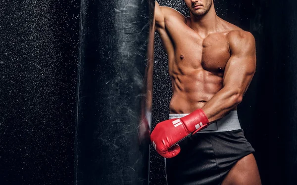 Hot muscular man with naked torso and punching bag