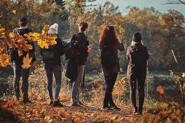 Bir grup arkadaş ormanda yürüyüş ediyor. — Stok fotoğraf