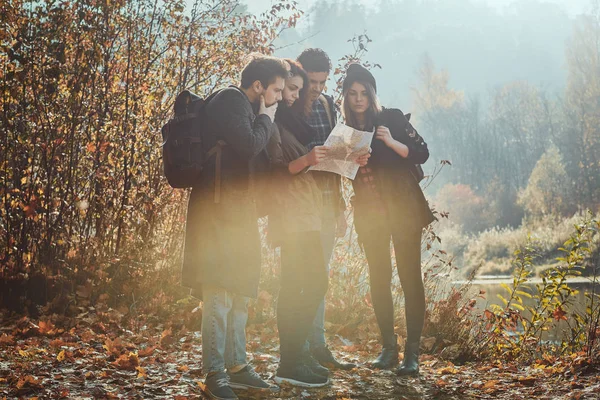 Grupo de amigos están de excursión en el bosque — Foto de Stock