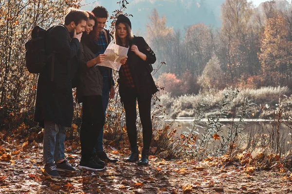 Groupe d'amis font de la randonnée en forêt — Photo