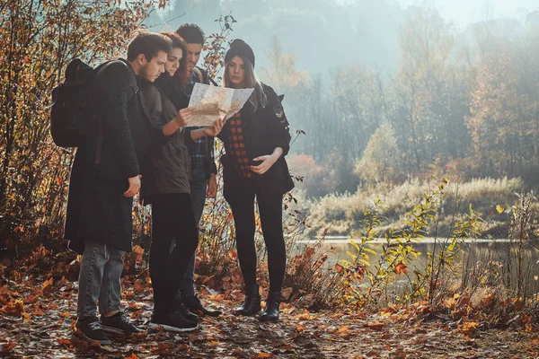 Bir grup arkadaş ormanda yürüyüş ediyor. — Stok fotoğraf