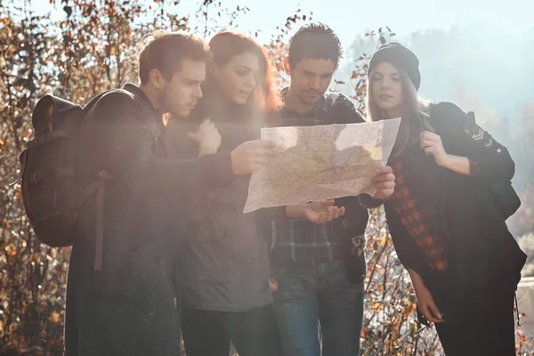 Gruppo di amici stanno facendo escursioni nella foresta — Foto Stock