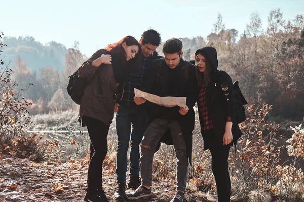 Groep vrienden zijn wandelen in het bos — Stockfoto