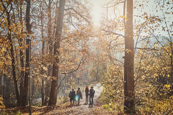 若者のグループが森の中を歩いている — ストック写真