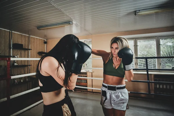 Coach and her new trainee have a sparring — Stock Photo, Image