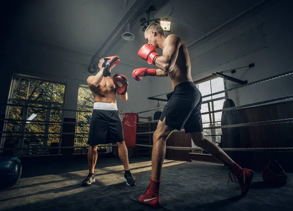 Två idrottsmän har en boxningstävling på ringen — Stockfoto