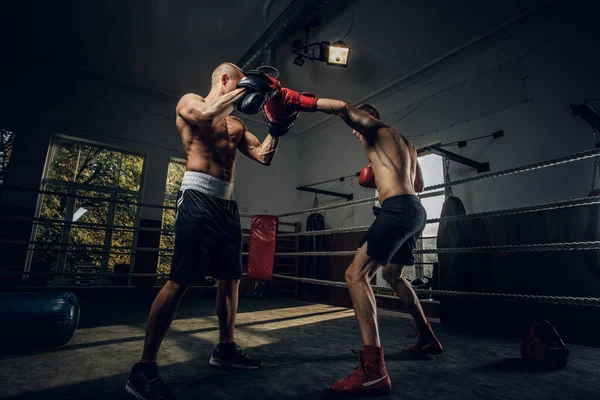 Dos hombres deportivos tienen una competencia de boxeo en el ring — Foto de Stock