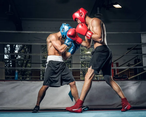 Dos hombres deportivos tienen una competencia de boxeo en el ring — Foto de Stock