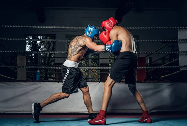 Dos hombres deportivos tienen una competencia de boxeo en el ring — Foto de Stock