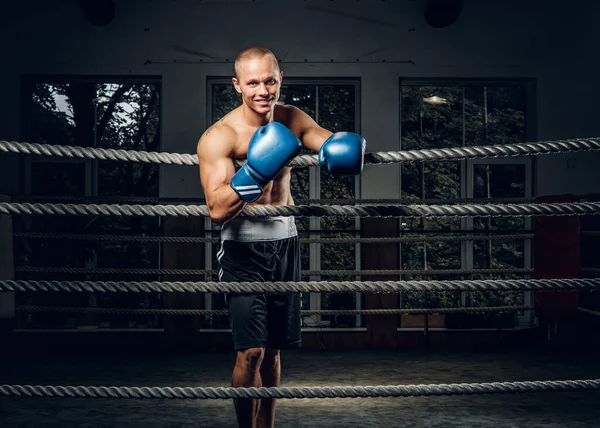 リング上の若い経験豊富なボクサーの肖像 — ストック写真