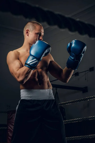 Retrato de un joven boxeador experimentado en el ring — Foto de Stock