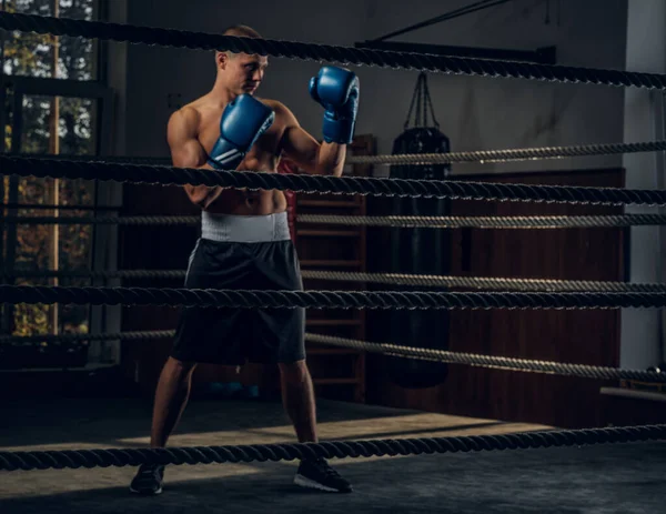 Retrato de un joven boxeador experimentado en el ring — Foto de Stock