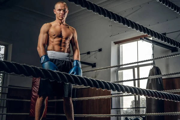 Porträt junger erfahrener Boxer im Ring — Stockfoto