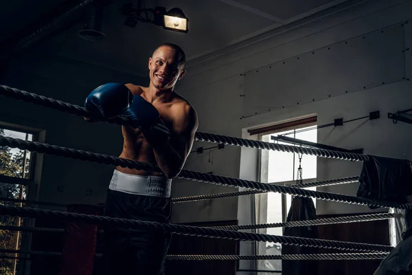 Porträtt av ung erfaren boxare på ringen — Stockfoto
