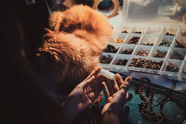 Chica ocupada y su gato esponjoso — Foto de Stock