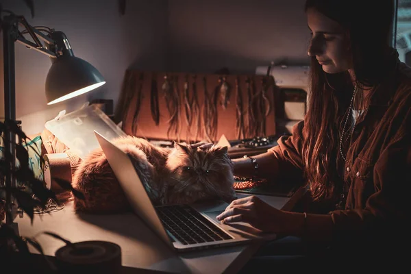 Menina ocupada e seu gato fofo — Fotografia de Stock