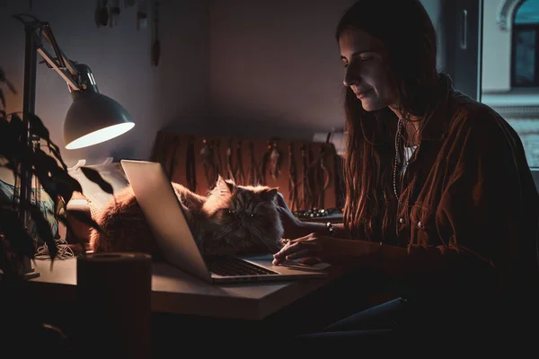 Busy girl and her fluffy cat — Stock Photo, Image