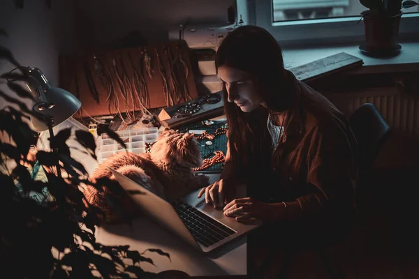 Busy girl and her fluffy cat — Stock Photo, Image