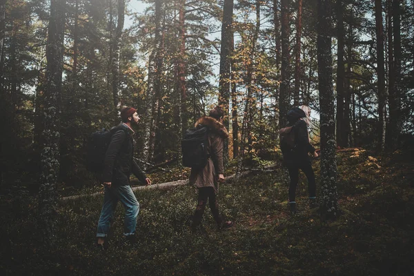 仲間たちが森の中で秋のハイキングを楽しんでいる — ストック写真