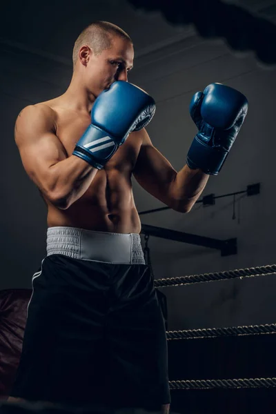 Ritratto di giovane pugile esperto sul ring — Foto Stock
