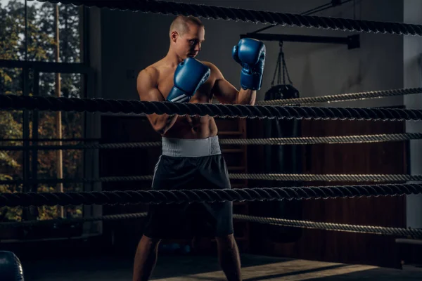 Retrato de un joven boxeador experimentado en el ring — Foto de Stock