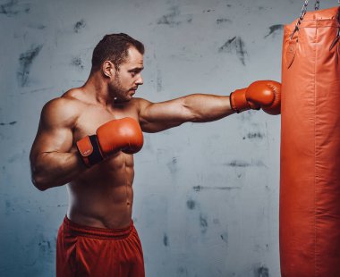 Vücut geliştirici eğitimi ve eldivenli kum torbası.