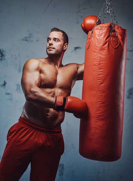 Brutal masculine boxer staying with gloves and punching bag