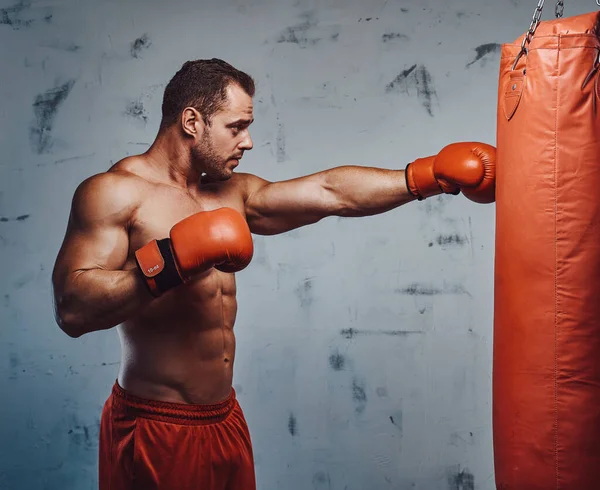 Bodybuilder training and punching bag with gloves — Stock Photo, Image