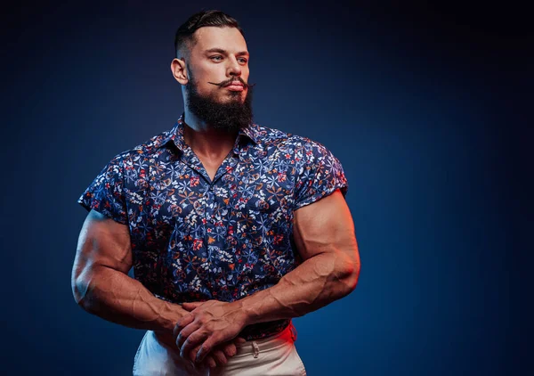 Construtor de corpo barbudo em roupas casuais posando em fundo azul — Fotografia de Stock