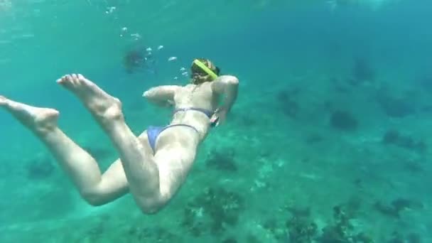 女孩游泳与浮潜和面具在水之下 — 图库视频影像