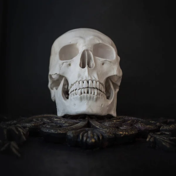 Human skull on the background of patterns. Black background, Halloween concept — Stock Photo, Image