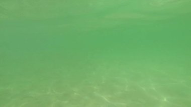 İzlanda, Skogafoss şelale, görünümünü kaydırmak