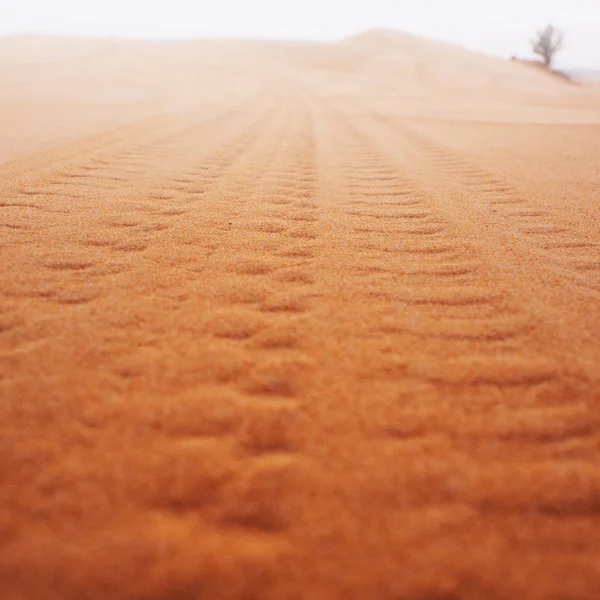 Reifenspuren des Geländewagens in der Wüste.. — Stockfoto
