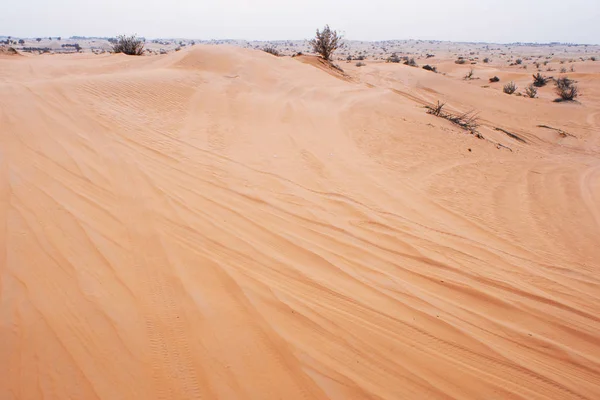 Woestijn landschap naar de horizon, zand en een zeldzame struik, haze. — Stockfoto