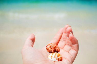Güzel mavi deniz arka plan üzerinde elinde deniz kabuğu
