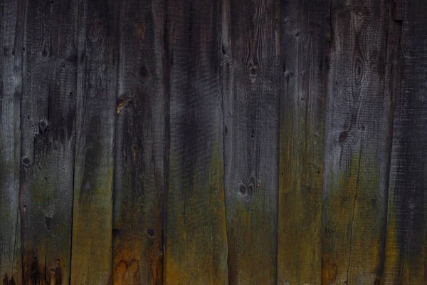 Natural background of wooden boards overgrown with moss on one side — Stock Photo, Image