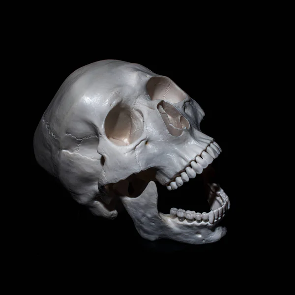 Halloween. Human skull. Invitation to Halloween party. Black background — Stock Photo, Image