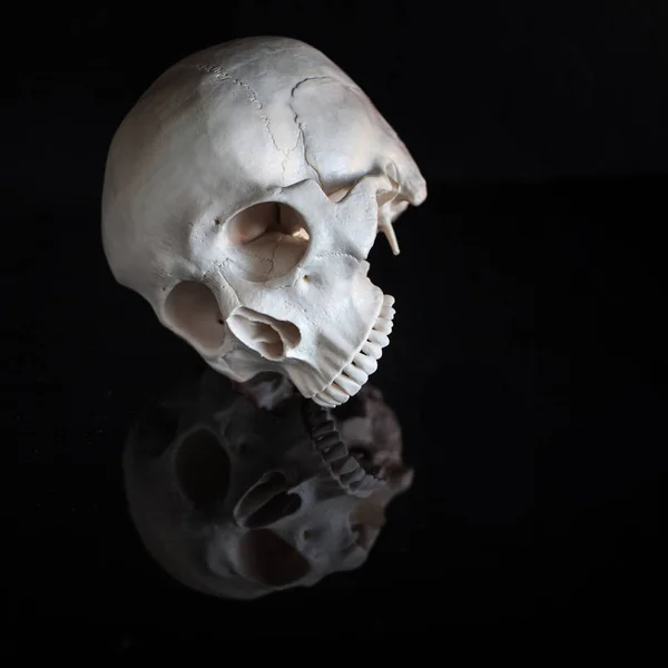Crâne humain. Halloween. Sur fond noir brillant avec réflexion — Photo