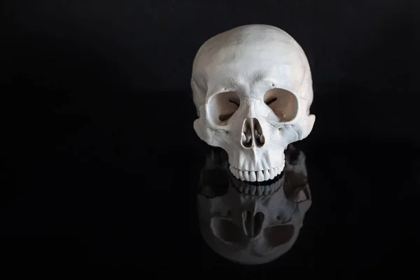 人間の頭蓋骨。ハロウィーン。反射と黒の光沢のある背景に — ストック写真