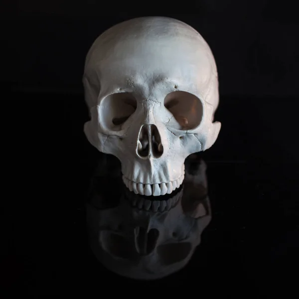 Human skull. Halloween. On black glossy background with reflection — Stock Photo, Image