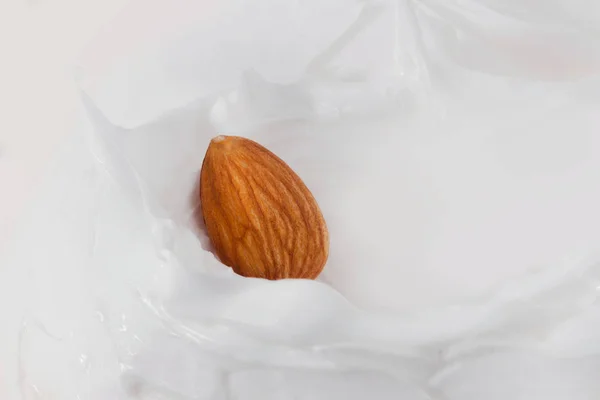 Almond milk. One almond in milk splash. — Stock Photo, Image