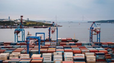 Vladivostok, Rusya - 24 Ağustos 2018: Ticari liman. Vinç konteyner taşıma, 