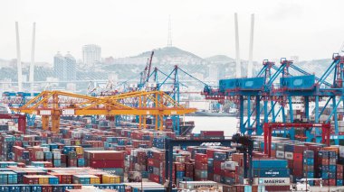 Vladivostok, Rusya - 24 Ağustos 2018: Ticari liman. Vinç konteyner taşıma, 
