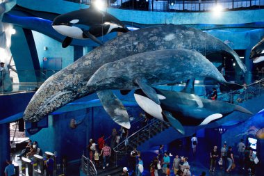 Vladivostok, Rusya - 18 Ağustos 2018: Balinalar, heykeller tavan altında. Vladivostok Oceanarium salon tasarım